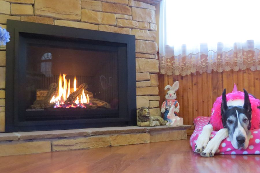 Dog sleeping near a Direct Vent Valor Legend G5 fireplace