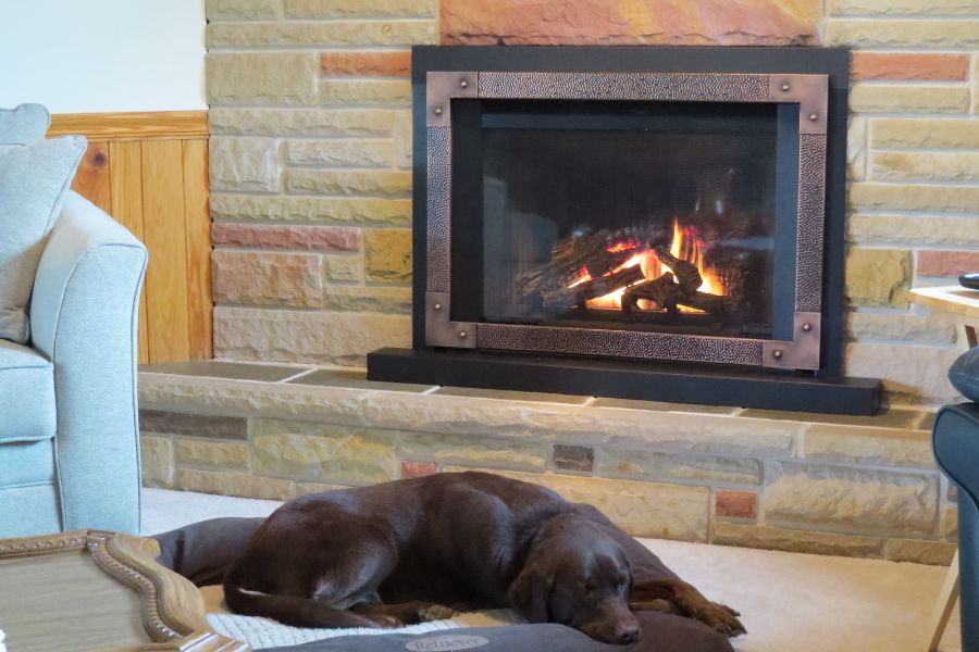 Dog sleeping near Valor Legend G4 Vented Fireplace